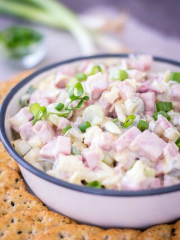 Ham Salad with cheddar cheese and pickles