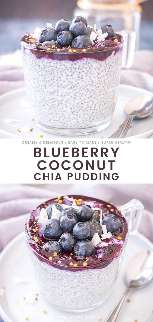 Blueberry Coconut Chia Pudding