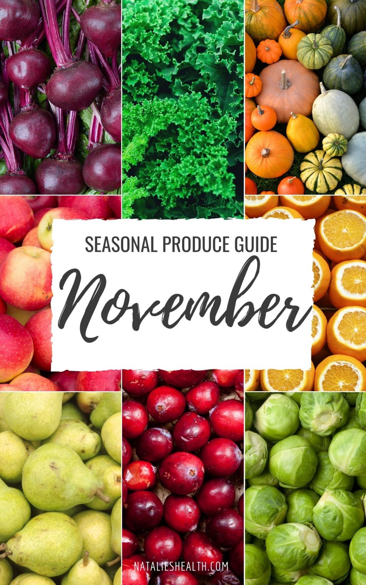 Seasonal Produce Guide What’s in Season NOVEMBER