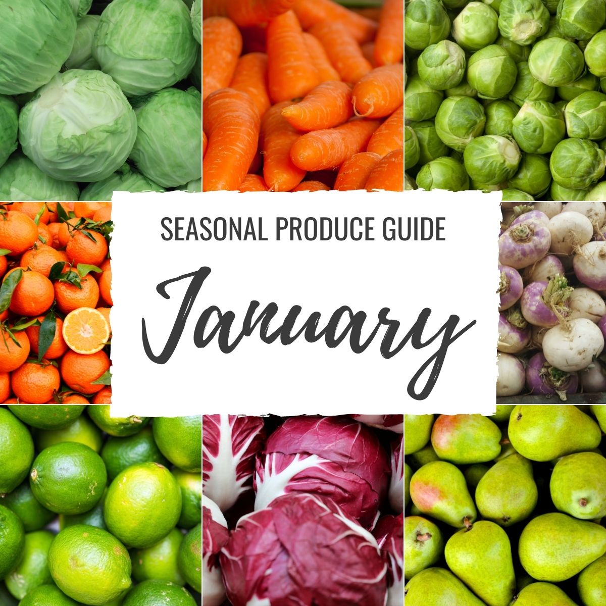 Whats In Season January Information And Recipes Included Fittrainme