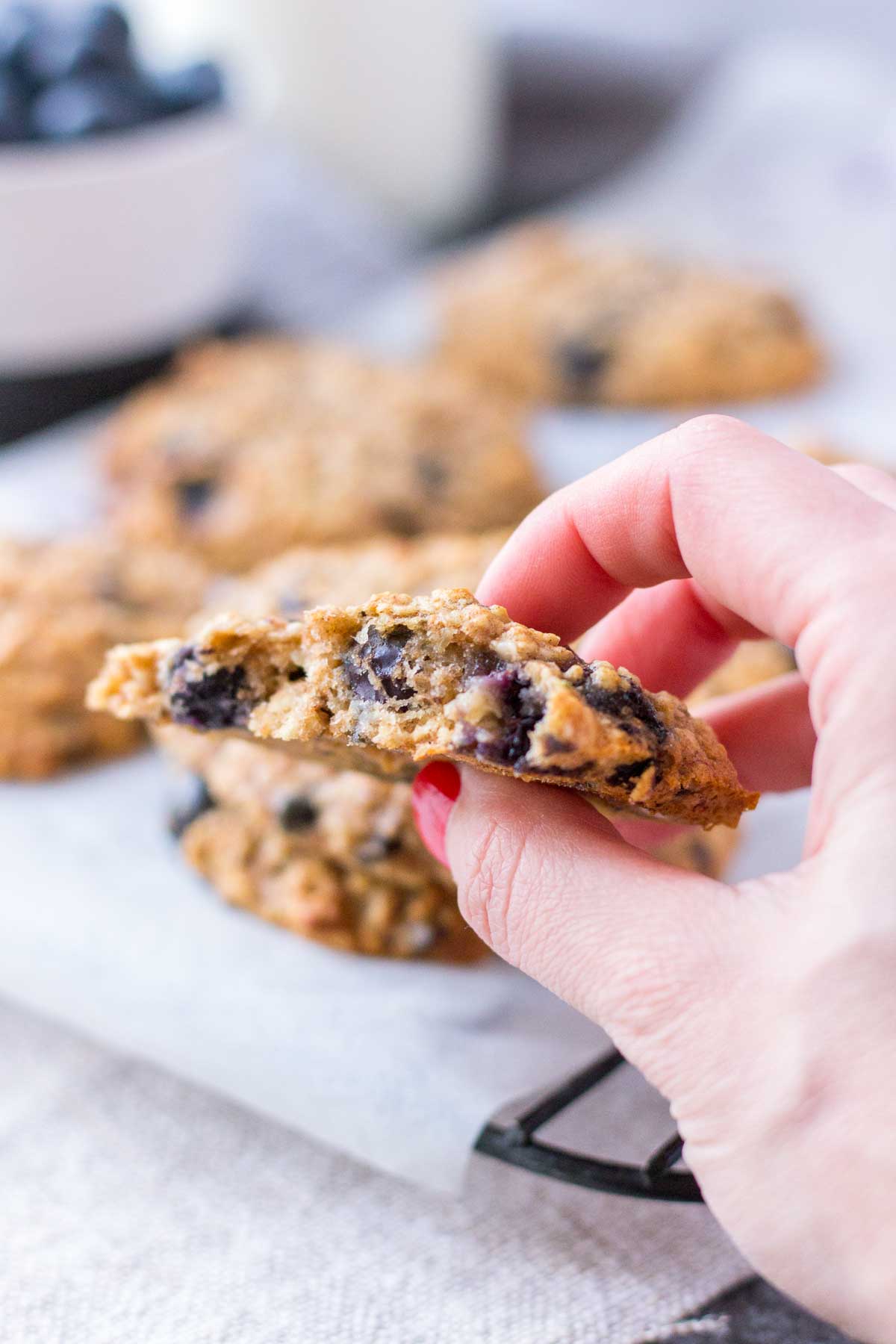 Hand holding blueberry cookie