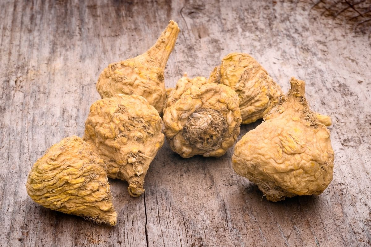 Maca root placed on a table